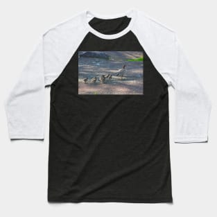 Mother Duck & Ducklings Baseball T-Shirt